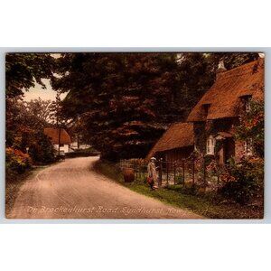 On Brockenhurst Road Lyndhurst New Forest vintage postcard United Kingdom #868